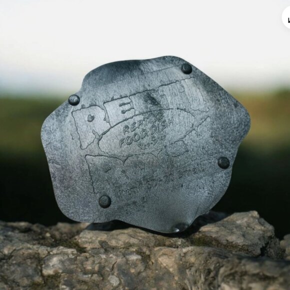 Reptile Food Water Bowl Plate Gecko Feeder Bearded Dragon Feeding Color Green - Picture 4 of 9